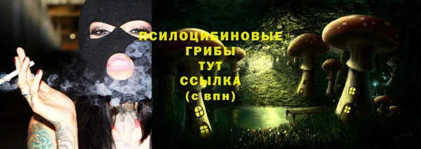 крисы Киреевск