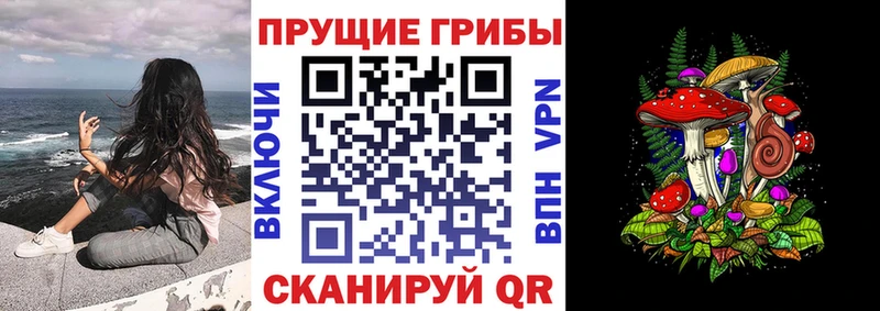 сайты даркнета телеграм  Бердск  Галлюциногенные грибы GOLDEN TEACHER 