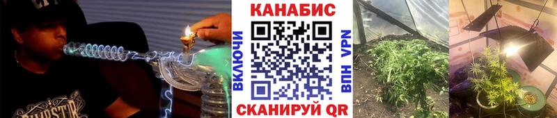 МАРИХУАНА Amnesia  сайты даркнета наркотические препараты  Бердск  наркотики  omg маркетплейс 
